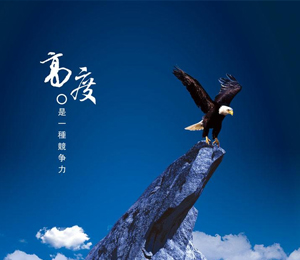 企業(yè)實(shí)力